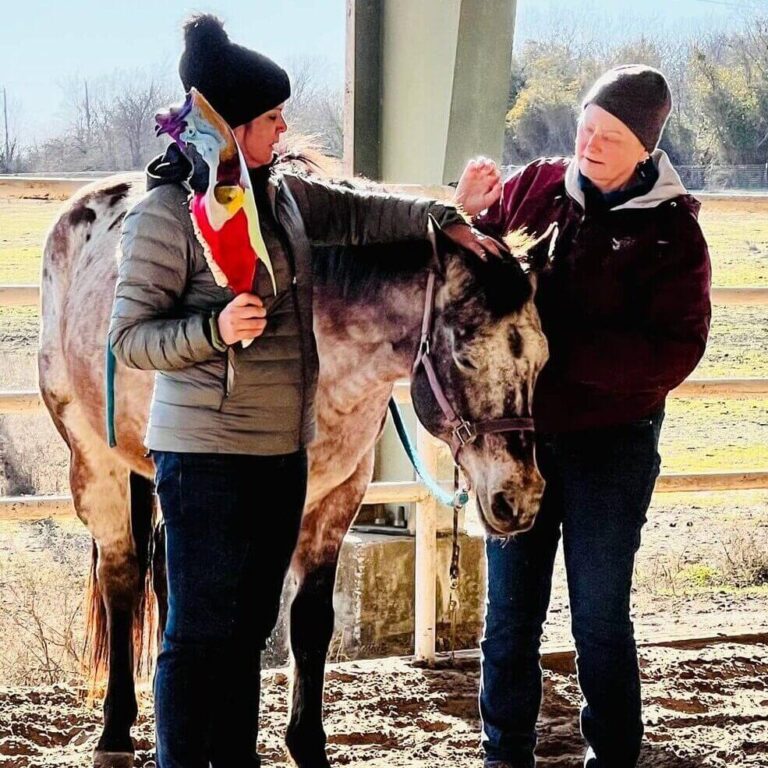 equine craniosacral class