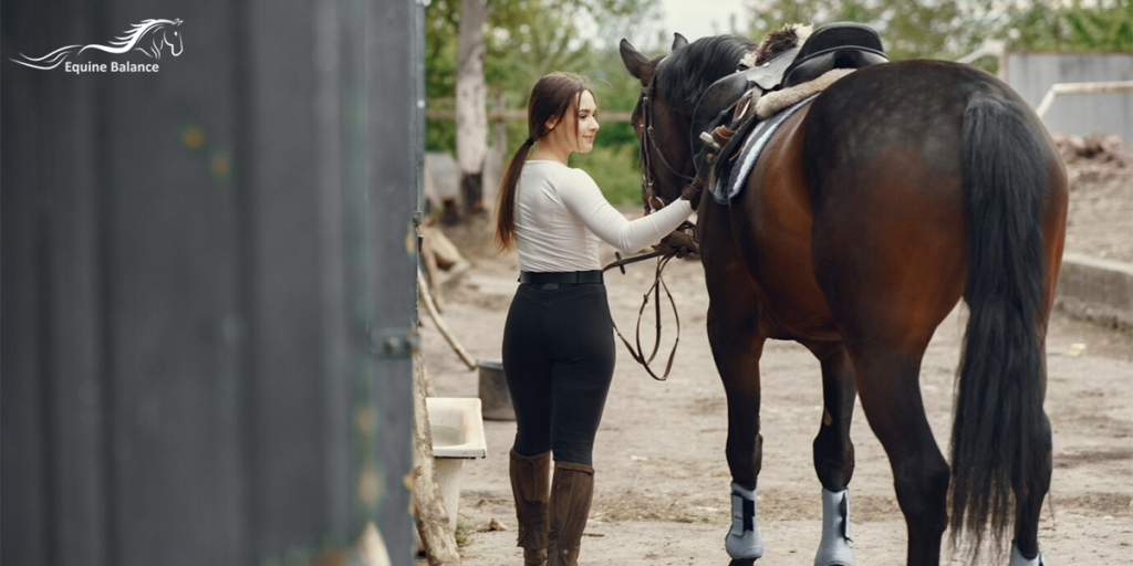 Equine Craniosacral Certification