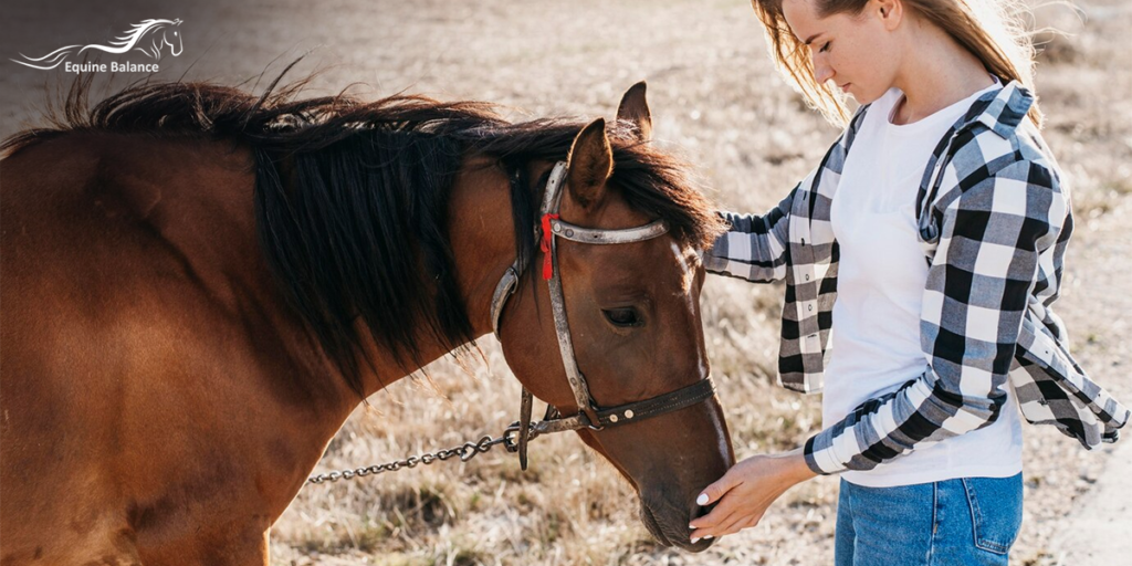 equine online courses education